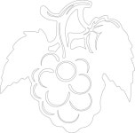 그 위에 숫자 1이 있는 포도 어리의 그림 | 프리미엄 벡터