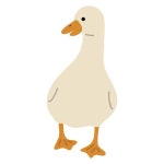 서있는 오리 새 | 프리미엄 벡터