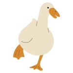 38 페이지 | 오리 백조 벡터 - Freepik에서 무료 고품질 벡터를 다운로드하세요 | Freepik