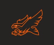 독수리 | 프리미엄 벡터