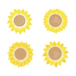 Flowers of sunflower | Premium Vector
