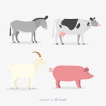 손으로 그린 농장 동물 모음 | 프리미엄 벡터