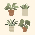 비와 잎에 있는 식물의 집합 | 프리미엄 벡터