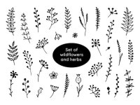 Premium Vector | Floral doodle set