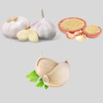 Fresh whole garlic cloves parsley isolated on a white background | Premium Vector