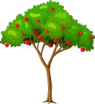 Many peaches on a tree isolated on white background | Premium Vector