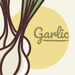 양파 야채 만화 | 프리미엄 벡터