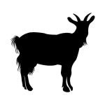 Goat silhouette | Premium Vector
