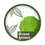 달콤하고 육즙이 풍부한 천연 에코 제품 양배추 | 프리미엄 벡터