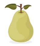 농장 음식 디자인 | 프리미엄 벡터