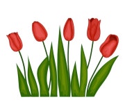 봄에 빨간 튤립 정원입니다. | 프리미엄 벡터