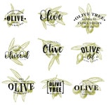 20 페이지 | 올리브 벡터 - Freepik에서 무료 고품질 벡터를 다운로드하세요 | Freepik