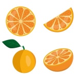 신선한 전체 반 잘라 슬라이스 및 흰색 배경에 고립 된 오렌지 과일 잎 세트 | 프리미엄 벡터