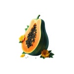 Realistic fruit papaya vector | Premium Vector