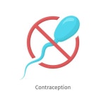 Do not ejaculate sign sticker | Premium Vector