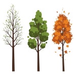계절 나무 팩 | 무료 벡터