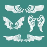 천사 날개 컬렉션 세트 | 프리미엄 벡터