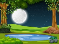 Premium Vector | Small pond in the middle of the forest at night landscape