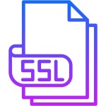 Ssl vector illustration | Premium Vector