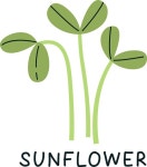 18 페이지 | 새싹 나무 벡터 - Freepik에서 무료 고품질 벡터를 다운로드하세요 | Freepik