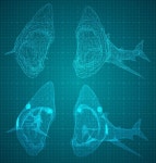 Vector 3d shark from a triangular grid | Premium Vector