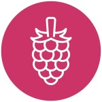 37 페이지 | 포도 나무 수출 벡터 - Freepik에서 무료 고품질 벡터를 다운로드하세요 | Freepik