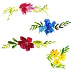 화창한 날의 꽃들 | 프리미엄 사진