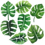 수채화 잎 디자인 | 무료 벡터