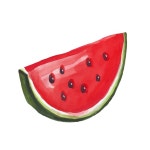 수박 | 프리미엄 벡터