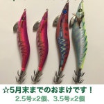 エギのセッ∋ ☆5月末までおまけ4個付き☆エギ 餌木の通販 by ria｜ラクマ 26個セット ≖はありませ - www.clovercooler.com