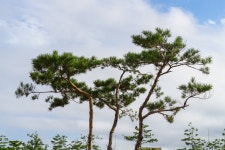 집 주변을 돌아다니면서. - 사진 게시판 - 기글하드웨어