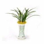 천향 | 갓피플몰