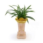 대국 | 갓피플몰