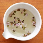 미니 복숭아꽃차 10g /도화차/꽃차 | 갓피플 푸른가게 미니 복숭아꽃차 10g /도화차/꽃차 [갓피플몰]