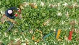 가을, 수확의 계절