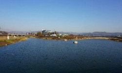 존폐 논란 안성천 취수장…상수원 해제 바람 거세지나 : 전국일반 : 전국 : 뉴스 : 한겨레 존폐 논란 안성천 취수장…상수원 해제 바람 거세지나