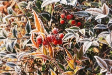 [날씨] 맑다가 밤부터 비…오전엔 미세먼지 ‘주의’하세요 : 사회일반 : 사회 : 뉴스 : 한겨레 [날씨] 맑다가 밤부터 비…오전엔 미세먼지... 