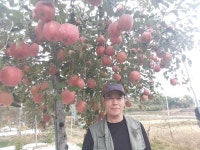 “43년만에 첫 월급 받았어요”…농업인 월급제 ‘호응’ : 전국일반 : 전국 : 뉴스 : 한겨레 “43년만에 첫 월급 받았어요”…농업인 월급제... 