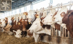 [애니멀피플] 마승애의 동물학교 : 연재 : 뉴스 : 한겨레 [애니멀피플] 마승애의 동물학교