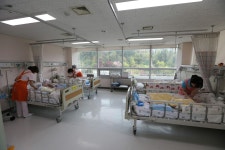 서울시장의 딸 지혜의 투병