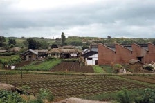 이방인이 본 옛 수원화성