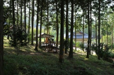 감성 돋는 전남 장흥 여행