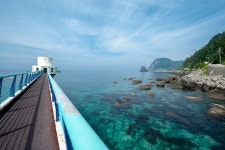 마을버스로 돌아보는 울릉도