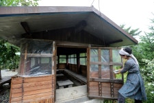 ‘숲속의 왕국’ 10년 동안 홀로 세운 연가리 맑은터