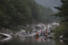 ‘숲속의 왕국’ 10년 동안 홀로 세운 연가리 맑은터