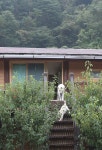 ‘숲속의 왕국’ 10년 동안 홀로 세운 연가리 맑은터