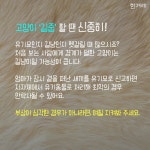 날 잃어버린 고양? 꼭 찾아주개!