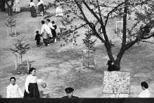 한영수 사진집 ‘서울모던타임즈’…해 저무는 럭키 서울