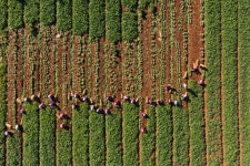 조성준의 드론으로 바라본 세상 풍경