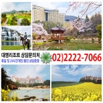 대명리조트콘도 창립 36주년 기념 만기 시 전액 환불제 파격분양 | 한경닷컴 대명리조트(콘도) 창립 36주년 기념 만기 시 전액 환불제 파격분양